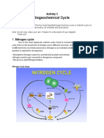 Biogeochemical Cycle