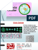 2-Clase - Parte2 - Conferencia Orientadora Núcleo y Ciclo Celular