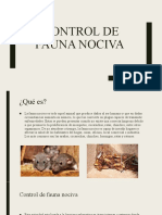 Control de fauna nociva: métodos y recomendaciones