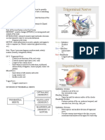 Neurology of Hma