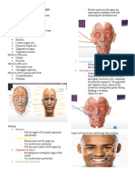 Muscles of Facial Expression Guide