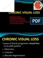 6 - Chronic Visual Loss (Dr. Essam)