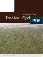 Chapter 4 Tropical Cyclone