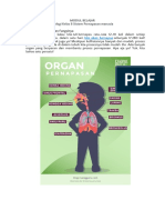 Modul Belajar Sistem Pernapasan Manusia