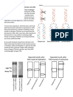 Week 9 DNA Replication and cDNA Worksheet