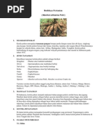 Download budidaya-pertanian-singkong1 by wiratm01 SN61282995 doc pdf