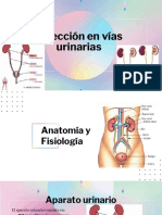 Infección en Vías Urinarias