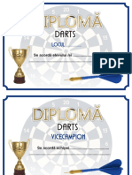 Diploma Darts