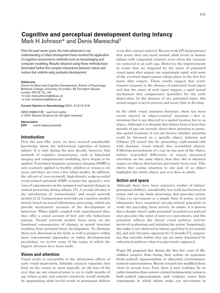 Cognitive and Perceptual Development | PDF