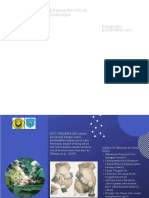 PDF 1leaflet SC