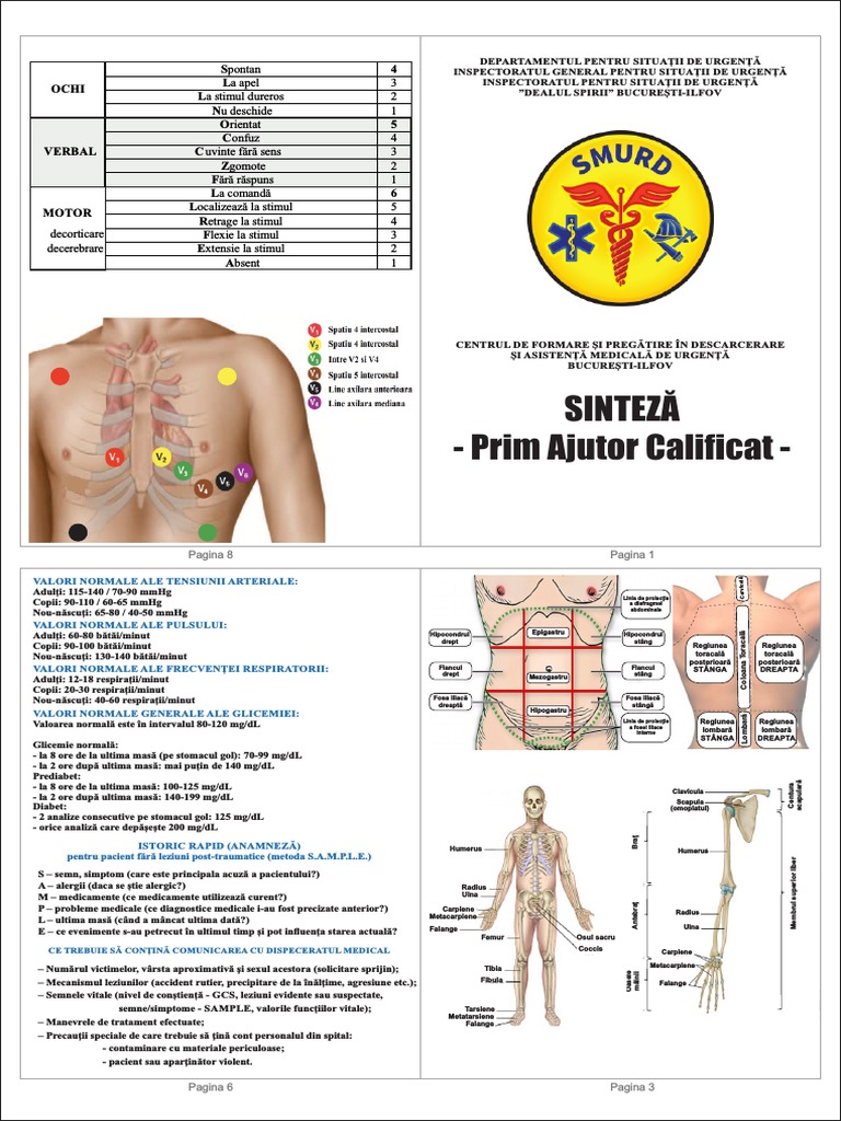 Carnetel SMURD | PDF