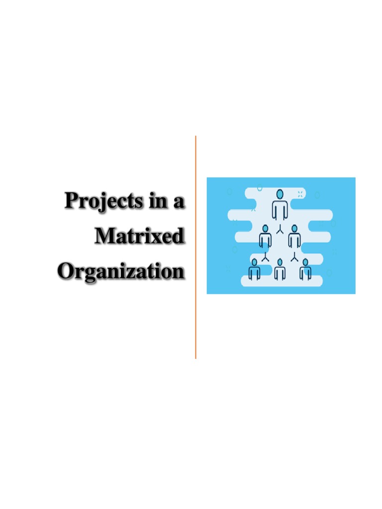 Project in A Matrixed Organization | PDF | Organizational Structure
