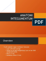 Anatomi Integumentum 1
