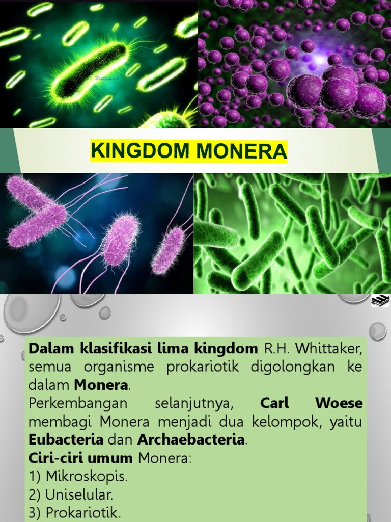 Monera | PDF