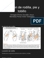 Luxación de Rodilla, Tobillo y Pie