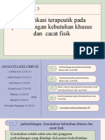 Kelompok 3: Komunikasi Terapeutik Pada Pasien Dengan Kebutuhan Khusus Dan Cacat Fisik