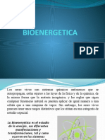 BIOENERGETICA - Bioquimica