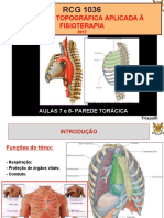 RCG 1036 Fisioterapia 2017 Aula 7 Parede Torácica