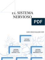 Clase 1 El Sistema Nervioso