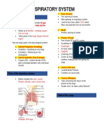 Respiratory System