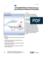 The Importance of Poly (ADP-Ribose) Polymerase As A Sensor of Unligated Okazaki Fragments During DNA Replication