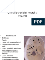 1 - Orificiile Craniului Neural Si Visceral