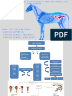 Mapa TDE 1 - Sistema Urinário, Sistema Genital Feminino e Sistema Genital Masculino . (1) (1)