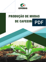 Producao de Mudas de Cafeeiro