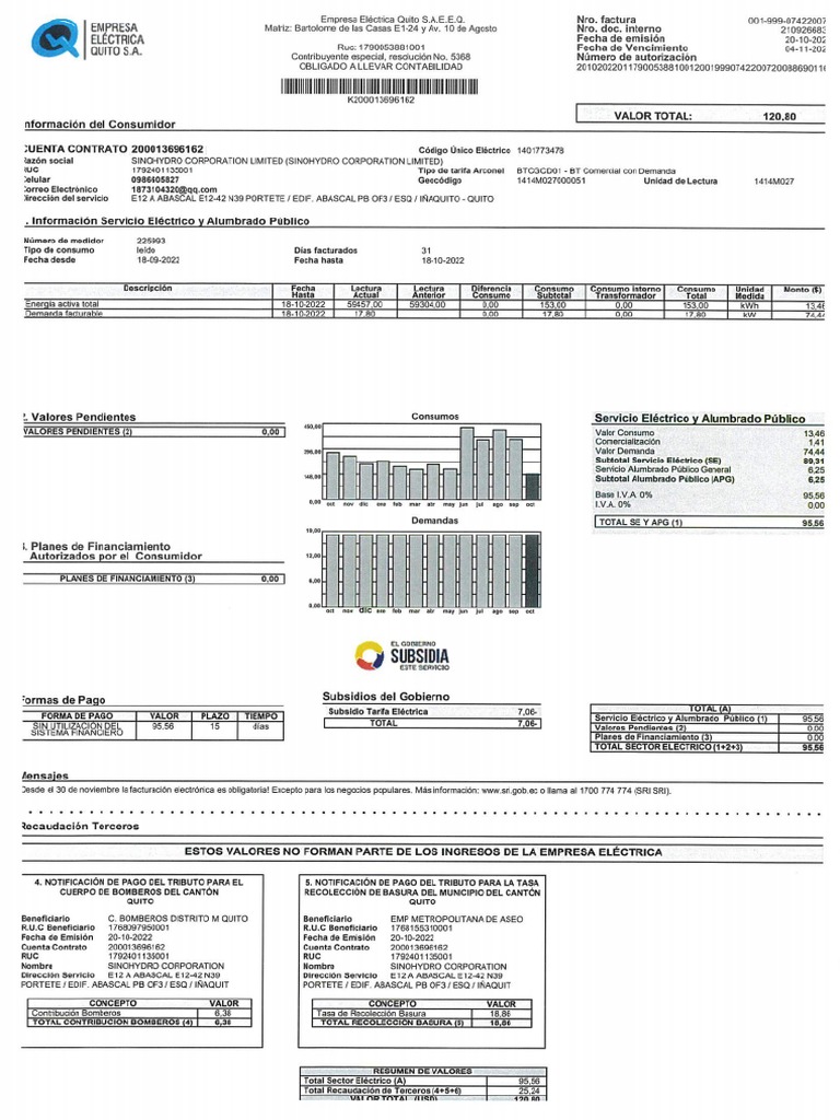 Planillas de Luz PDF