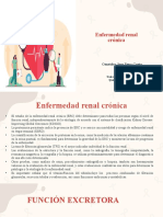 Enfermedad Renal Crónica