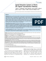 Programmable Ligand Detection System in Plants Through A Synthetic Signal Transduction Pathway