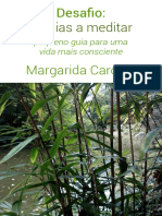 Ebook Desafio Margaridacardoso14