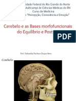 Cerebelo Equilbrio e Postura