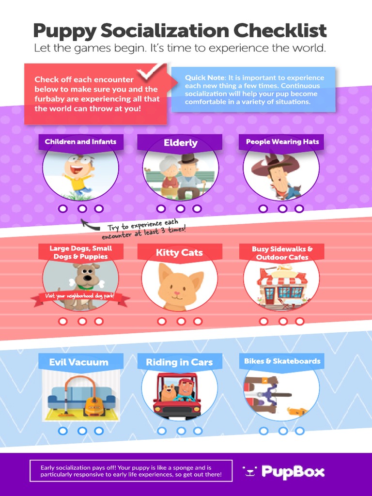 Puppy Socialization Checklist Guide | PDF