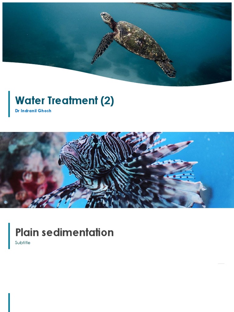 Water Treatment PDF Chemical Engineering Chemistry