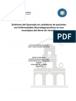 Sindrome Del Quemado en Cuidadores de Pacientes Con Enfermedades Neurodegenerativas en Tres Municipios Del Norte de Tenerife.