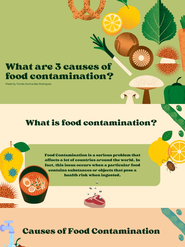 What Are 3 Causes of Food Contamination PDF