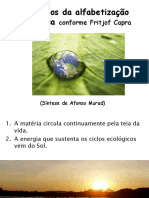 (1a) Princípios Da Alfabetização Ecológica