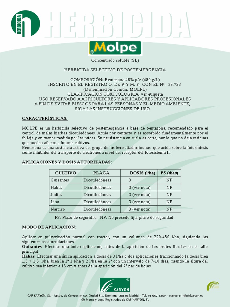 Molpe FT May17 | PDF