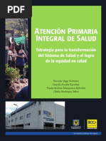 APS Selectiva y Renovada: Enfoques Clave | PDF | Cuidado de la salud ...
