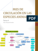 FUNCIONES DE CIRCULACIÓN EN LAS ESPECIES ANIMALES Tema 4