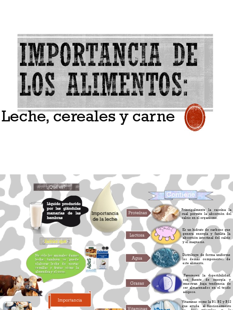 Infografía Importancia de Los Alimentos | PDF | Cereales | Nutrición