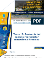 Tema Anatomia Del Aparato Reproductor Masculino y Femenino.