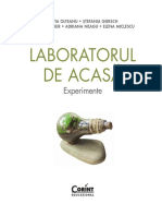 Laboratorul de Acasa Fragment