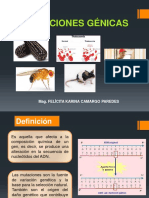 Sesion 5 Teoria Mutaciongenica Clasificacion