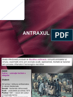Curs Antrax Net