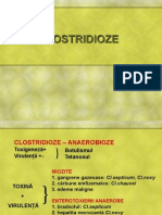 Curs Clostridioze Net