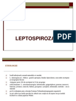 Curs Leptospiroza Net
