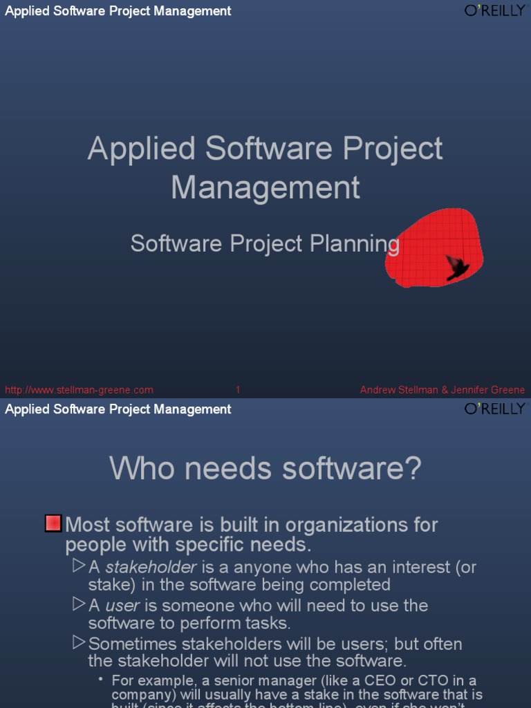02 Software Project Planning | PDF | Project Management | Systems
