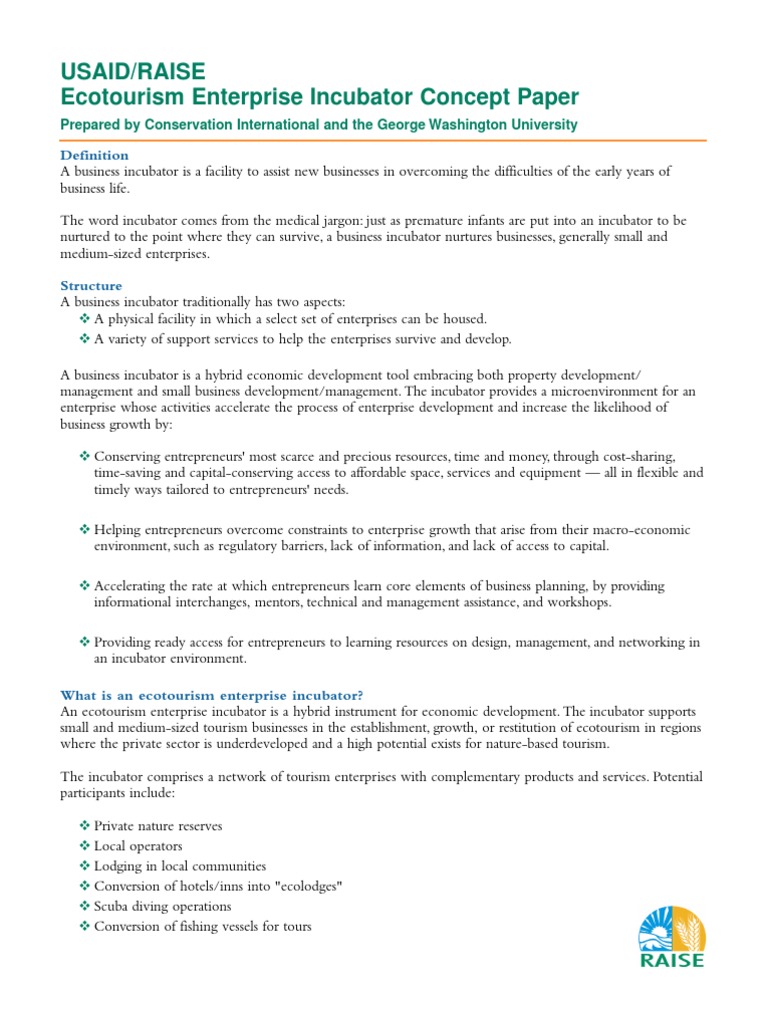 History of tourism essay image